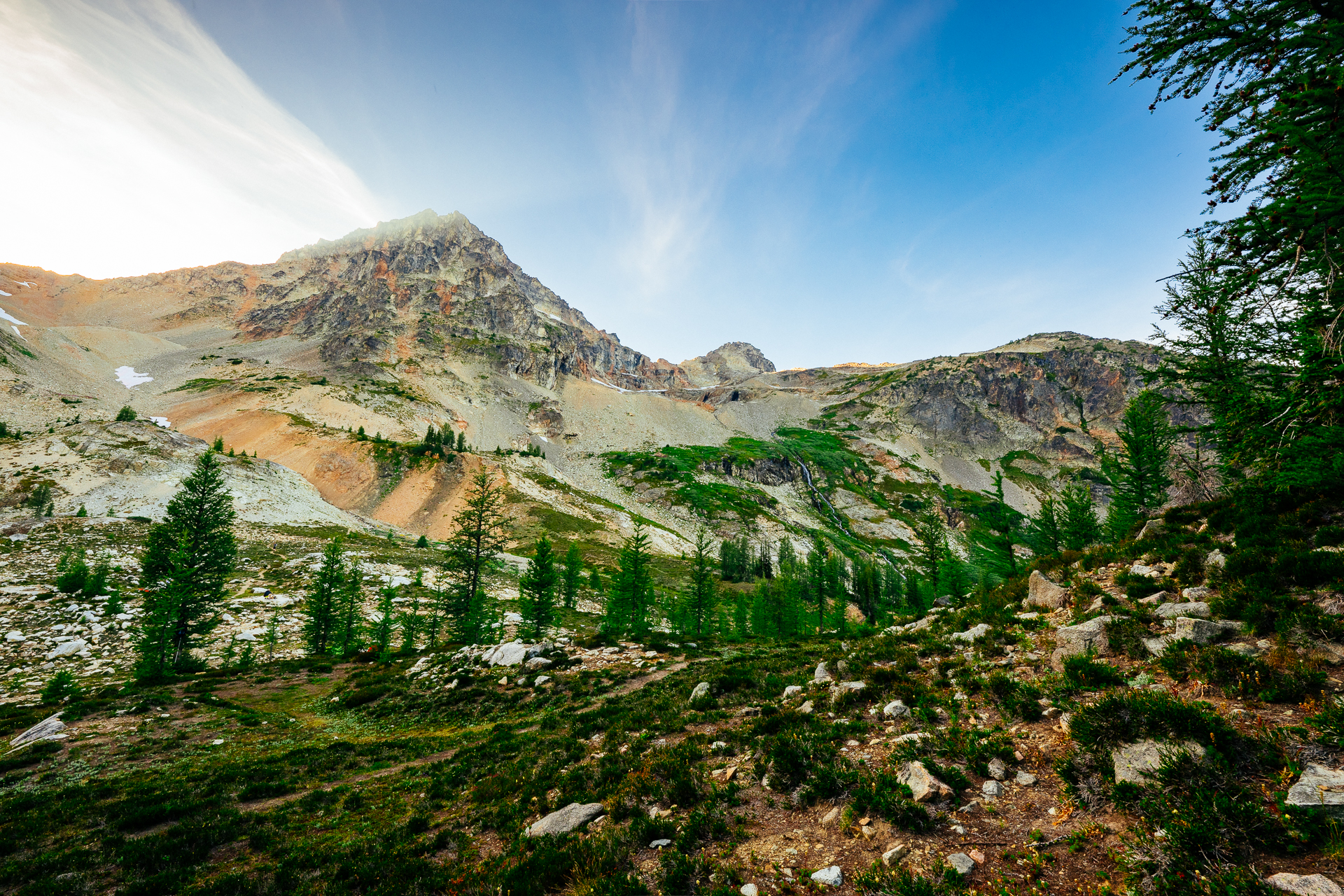 Mountain meadow landscape